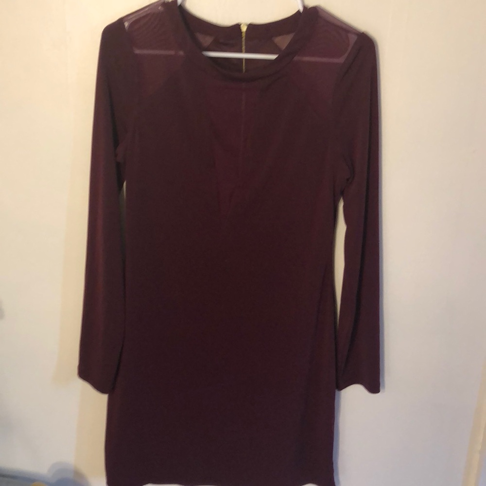 Dark berry mesh inset dress